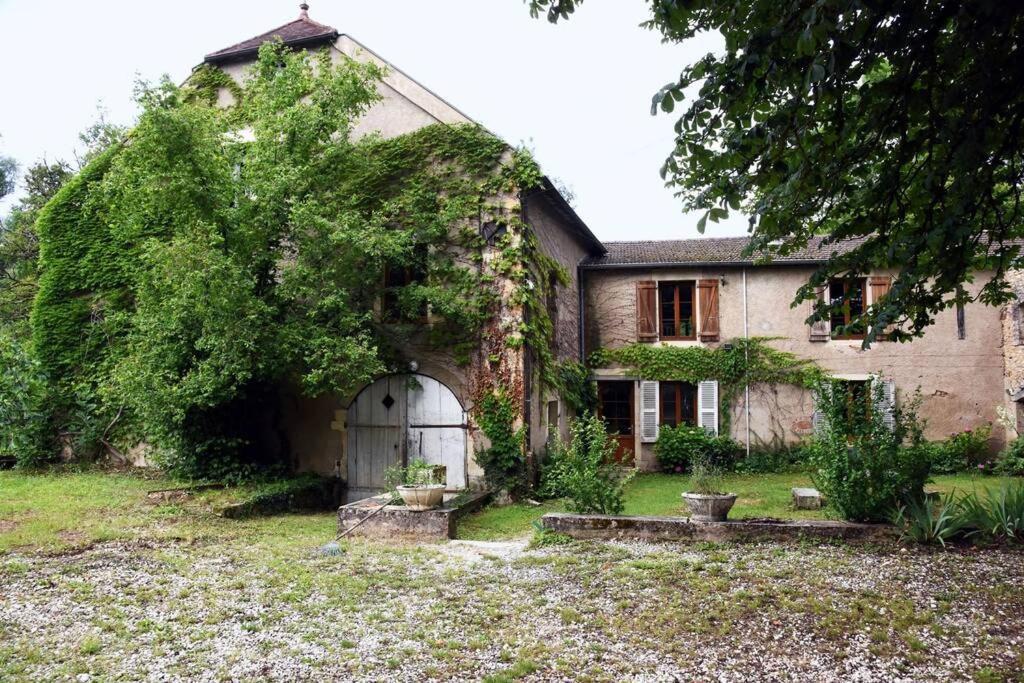 Moulin Dans Un Parc D'elevage A Daims * Jancigny