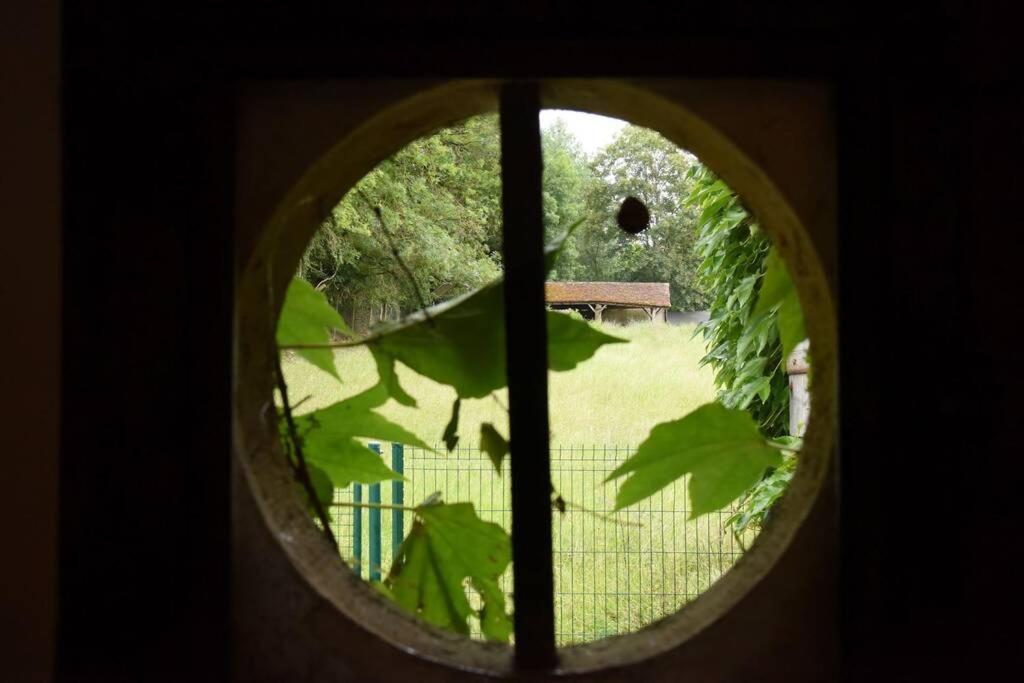 Moulin Dans Un Parc D'elevage A Daims Ferienhaus *